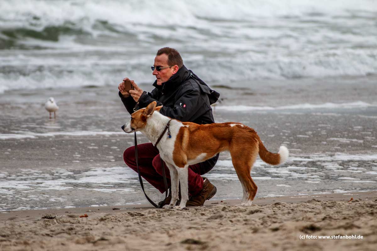 nordstrand-goehren-tourist-mit-hund